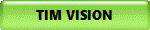 TIM VISION