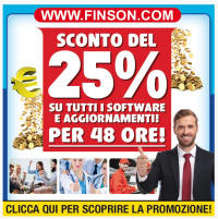 finson