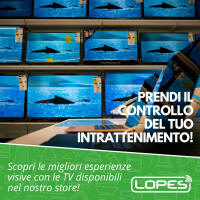 intrattenimento -lopes srl